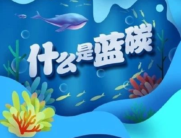 图解｜你知道“蓝碳”是什么吗？